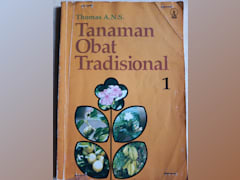 TANAMAN OBAT TRADISIONAL 1