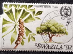 Swaziland