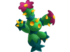 Maractus