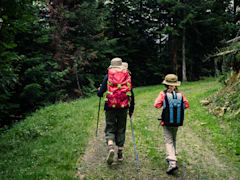 Take a hiking or nature trail adventure