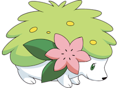 Shaymin (All forms)