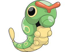 Caterpie