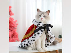 Serial Lux Fur Cat Cloak