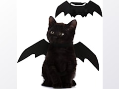 Pet Cat Bat Wings for Halloween Party Decoration