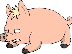 Plopper the pig
