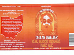 Valley Vineyard O.G. Blood orange Pale ALE