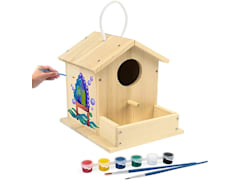 DIY Wooden Birdhouse Kits