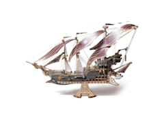 Future Pirate Ship