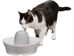 PetSafe Creekside Ceramic Pet Fountain – for Cats and Small Dogs – 60 Oz Water Capacity – Whisper-Quiet Water Flow – Great for Shy or Timid Pets – Fresh, Filtered Water
