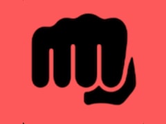 Brawler