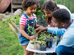 Plant a herb garden together
