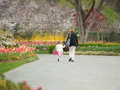 Visit a botanical garden or park