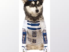 R2-D2 Pet Costume