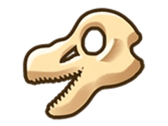 Velociraptor Skull