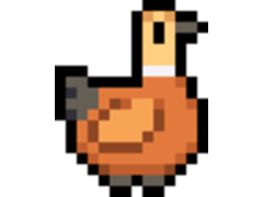 Ruddy Shelduck