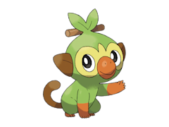 Grookey