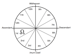 Once you've found where your North Node is located, look to see what house it is in. (Search "Astrology Houses" on Google Images to understand the house numbers)
