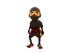 Ninja