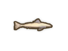 Museum Helper (Fish Bug Critter Tooltips For Museum And Pedia) at