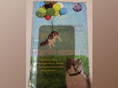 BAGAIMANA SEANDAINYA...?