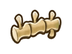Brontosaurus Spine
