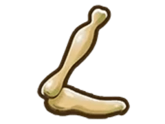Pterodactyl Leg