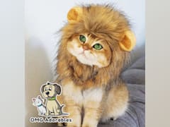 Lion Mane Costume for Cat