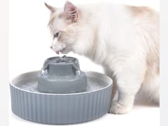 Cepheus 360 Ceramic Pet Fountain, Advanced Porcelain Cat Water Fountain, 70 oz.Drinking Fountains Bowl for Cat and Dogs with Replacement Filters and Foam (White)