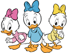 April, May and June Duck