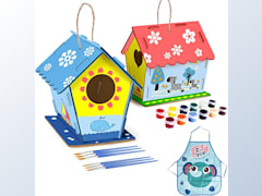 2Pack DIY Bird House Kit for Kids