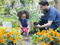 Plant trees or flowers in a local park or community garden