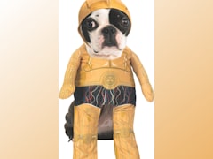 Classic C-3PO Pet Costume
