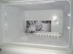 Defrost freezer