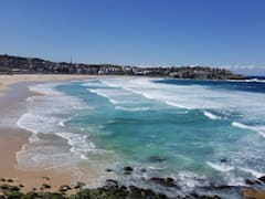 Join a beach clean-up and help keep Sydney's beaches beautiful.