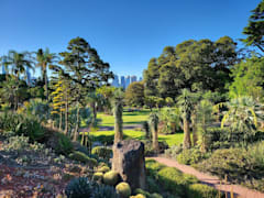 Take a stroll through the Royal Botanic Gardens