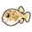 Pufferfish