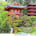 Enjoy the view of Japanese Tea Garden