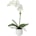White Orchid Faux Floral Pot