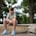 Boot Camps Focus on Obedience—Not Mental Health