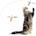 Cat Feather Propeller
