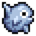 Ocean Sunfish