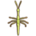 Goliath Stick