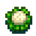 Cauliflower