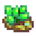 Ocean Stone
