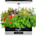 SereneLife Smart Starter Kit-Hydroponic Herb Garden Indoor Plant System w/Height Adjustable LED Grow Lights, 6 pods, 3 Modes-Home Kitchen, Bedroom, Office