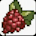 Raspberry