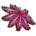 Crown-of-thorns Starfish