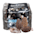 Morel Mushroom Spores