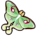 Luna Moth