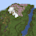 Seed: 145668537301022636